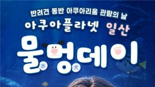 [반려동물] 수족관서 '물멍' 때리고 트랙 달린다…진화하는 '댕댕이' 여가