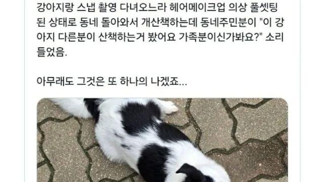 한껏 꾸미고 나온 주인이 어색한 강아지.jpg