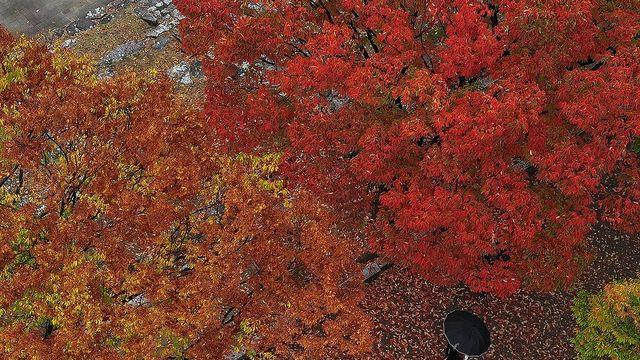 대구·경북 대체로 맑고 큰 일교차…낮 최고기온 19∼25도