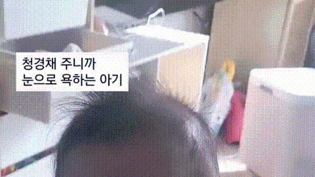 청경채 주니까 눈으로 욕하는 아기