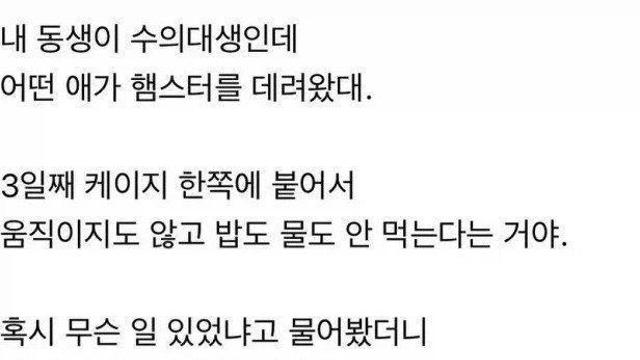 식음을 전폐했던 햄스터