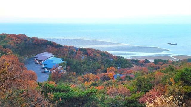 '국립휴양림 단풍 절정' 이 지도 하나면 끝…권역별 지도 공개