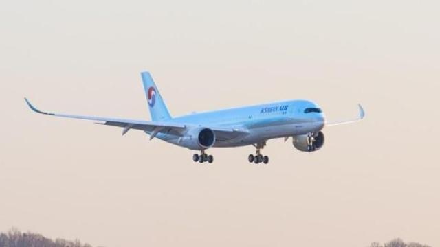 146명 태웠는데 긴급회항…대한항공 여객기, 무슨 일