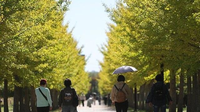 [날씨] 주말 초여름 같은 가을…토요일 흐려지고 일요일 전국에 강한 비