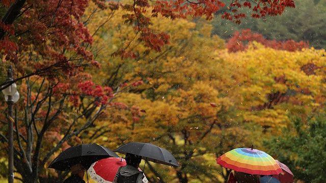 전북 오전부터 비…군산·고창·부안 강풍주의보