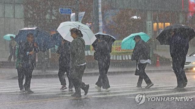 남부·제주에 강한 비…돌풍·천둥번개 주의 [내일날씨]