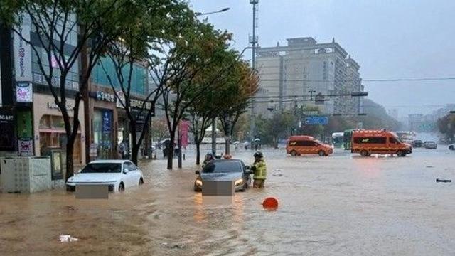 기습 폭우에 태풍급 강풍까지…도로 잠기고 가로수 뽑혀