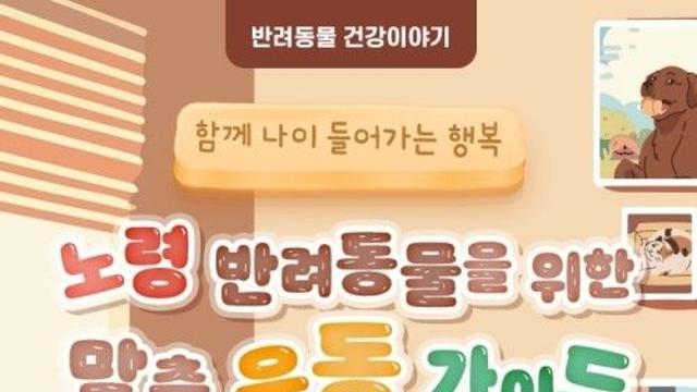 [반려동물 건강이야기] 함께 나이 들어가는 행복-노령 반려동물 위한 맞춤 운동 가이드