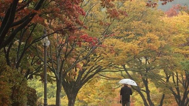 [날씨] 월요일 남부·제주 돌풍 동반 강한 비…전국 강풍 주의보 수준