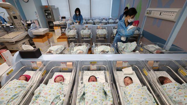3~9년차 부부 출산율 12% 증가…코로나 혼인 공백기 메웠다[only이데일리]