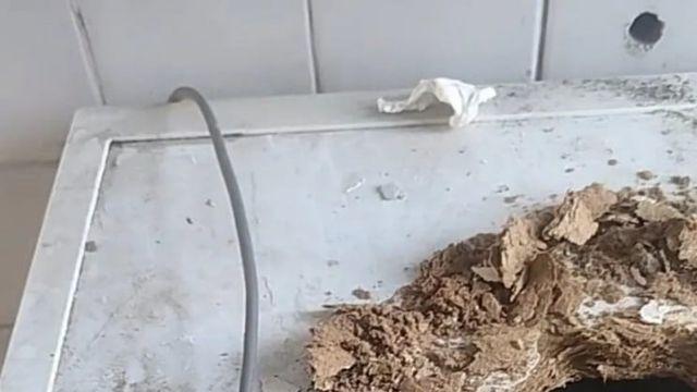 최근 화제가 된 세탁기 사진