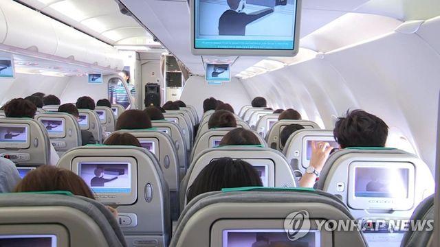 항공기 카펫 들었더니 줄무늬뱀이 '꿈틀'…일본 저가항공 결항