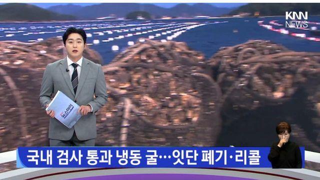 현재 노로바이러스 때문에 비상 걸렸다는 경남 굴 근황