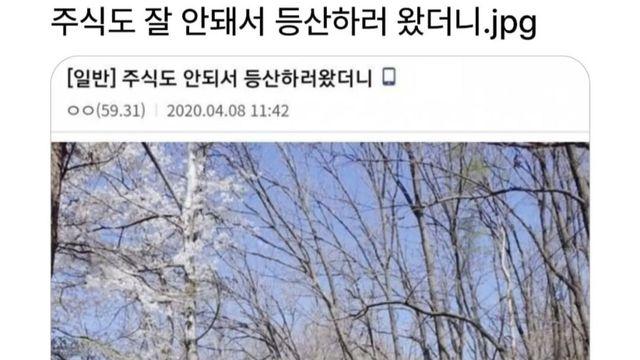 펌)주식도 잘 안되서 등산하러 왔더니.jpg