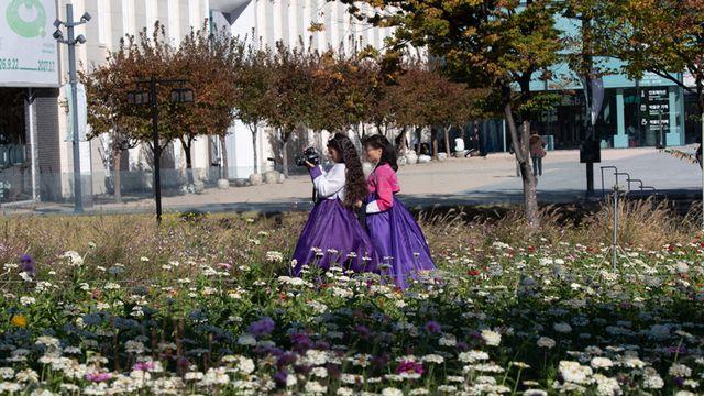 <오늘의 날씨> 절기 ‘상강’ 출근길 쌀쌀⋯남쪽은 비
