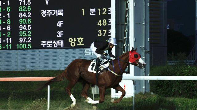‘역대 5번째 1000승’ 서승운 기수, 15년 꾸준함으로 일군 대기록