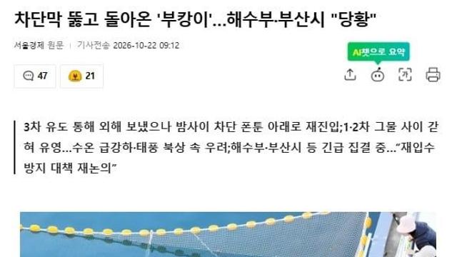 부캉이가 못나가는 진짜 이유를 알아보자.araboja