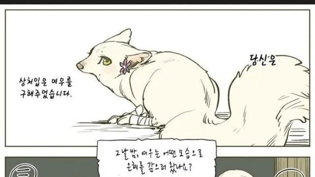 퍼리 자가 진단 테스트