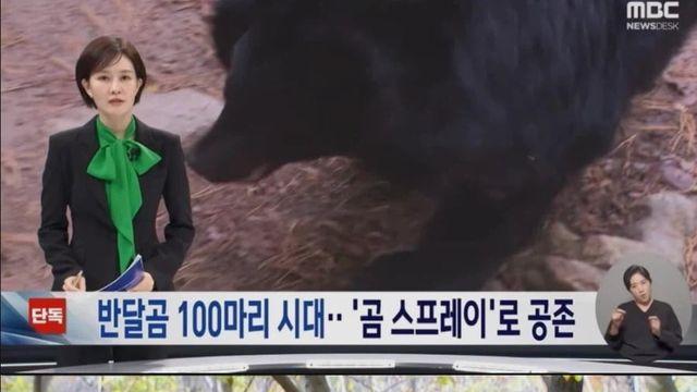 지리산 곰 100마리 육박하자 내놓은 특단의 조치