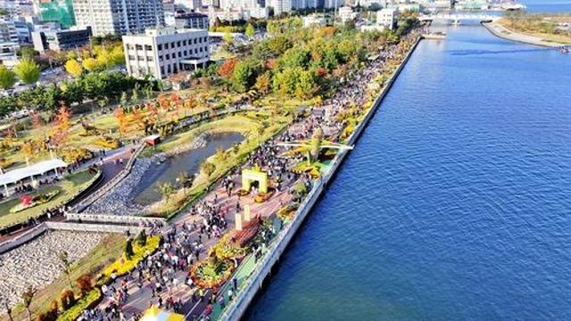마산가고파국화축제 맞춰 창원시티투어버스 특별노선 운행