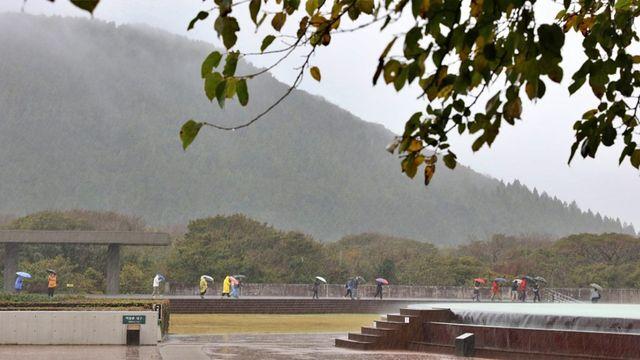 한라산에 209㎜ 폭우 쏟아졌다… 태풍 '참피' 북상, 비 얼마나 더 오나