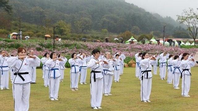 세계평화와 화합 무대, 화순고인돌 가을꽃 축제 ’ 한한국·아리랑활력무 특별공연’ 성료