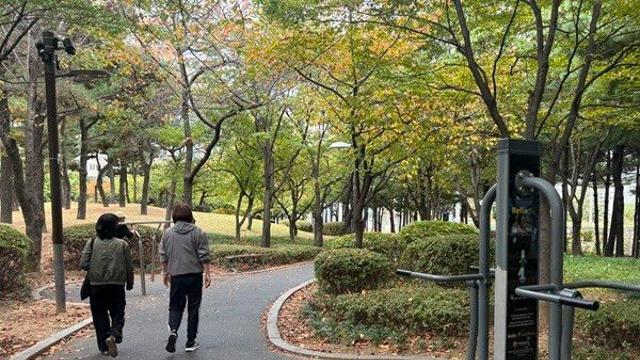 [우리동네 운세권] 평탄한 산책길 따라 건강 한 바퀴…영등포구 ‘영등포공원’