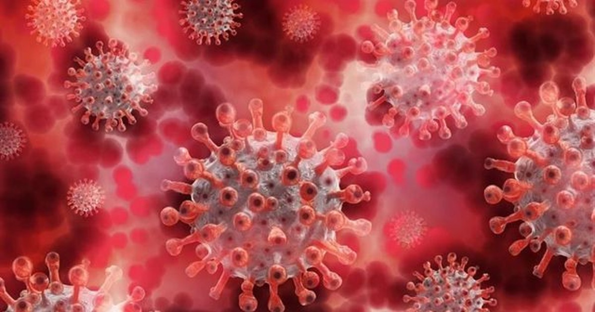 화이자 관계자 "자사 백신 델타 변이 90% 잡는다" 주장 눈길