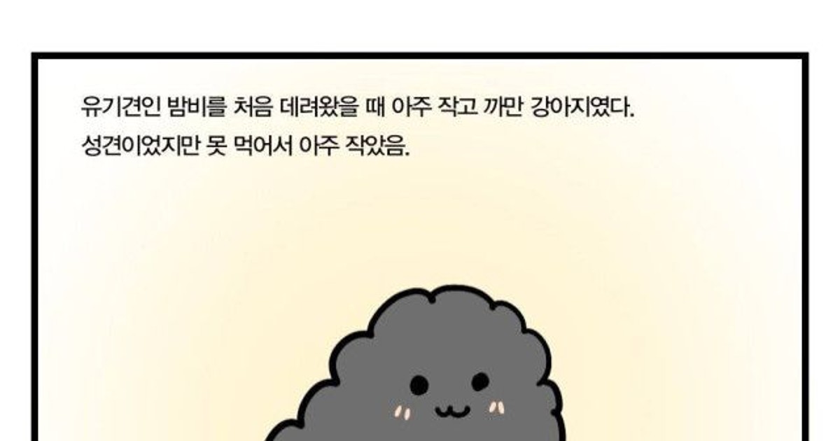 까만 강아지 특징.jpg