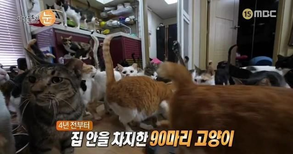 방송 탄 캣맘 中 역대급 레전드