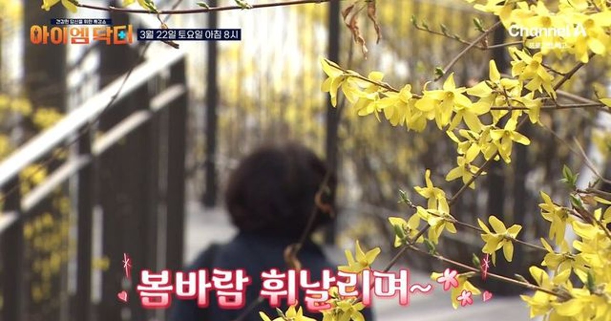 [예고] 다이어트로 고민 중이신가요? 평생 날씬해지는 다이어트 필승 공식을 알려드립니다!