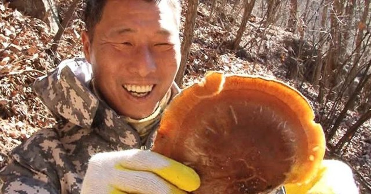 추천인 이미지