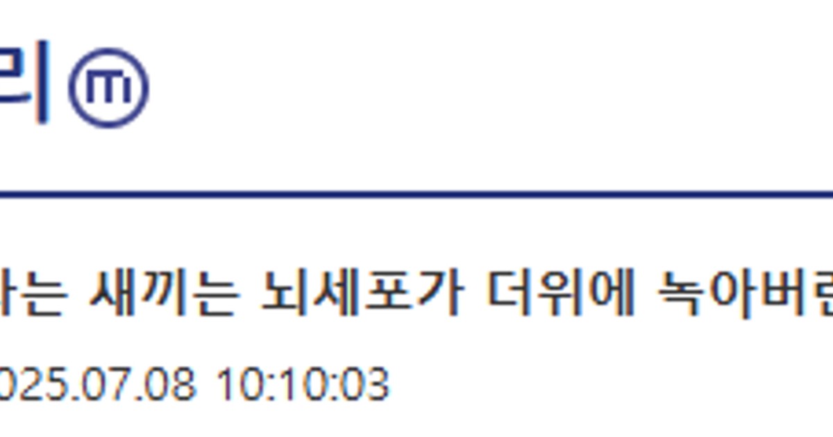분노분노 여름 갤러…
