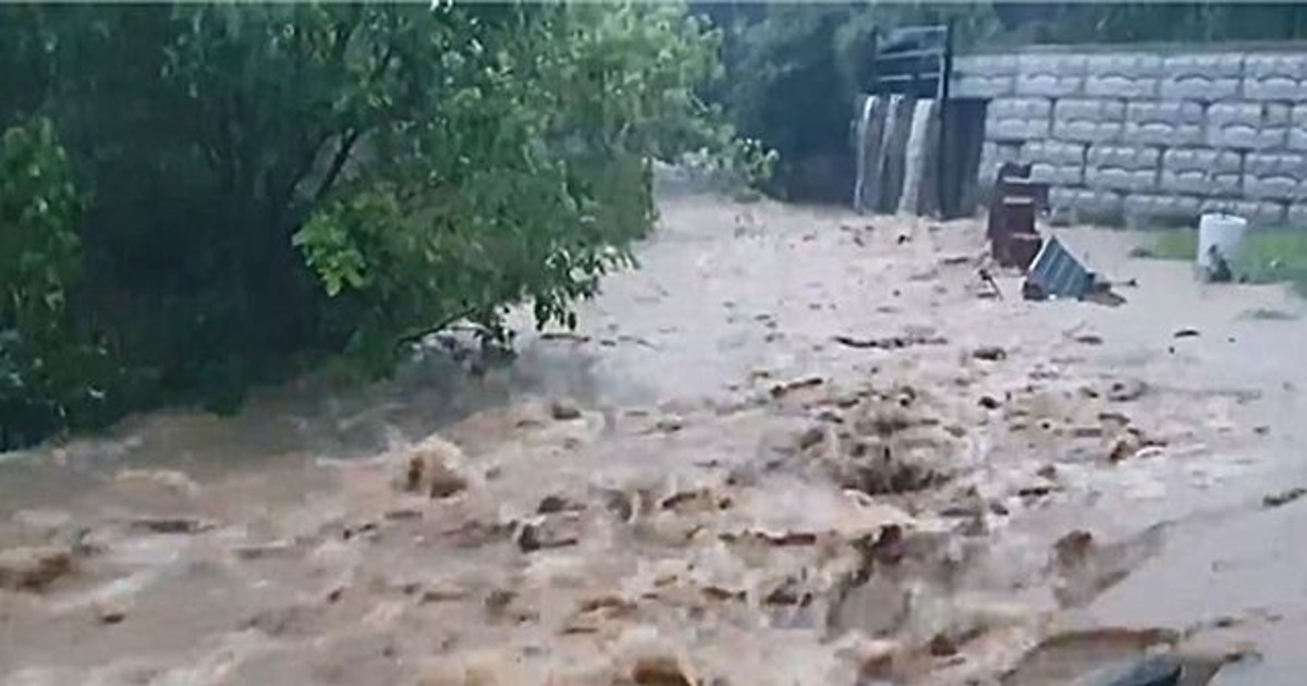 충남에 시간당 10…