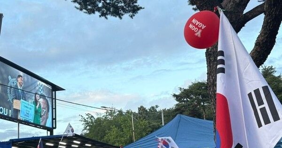 부정선거론 모스 탄…외국인 정치