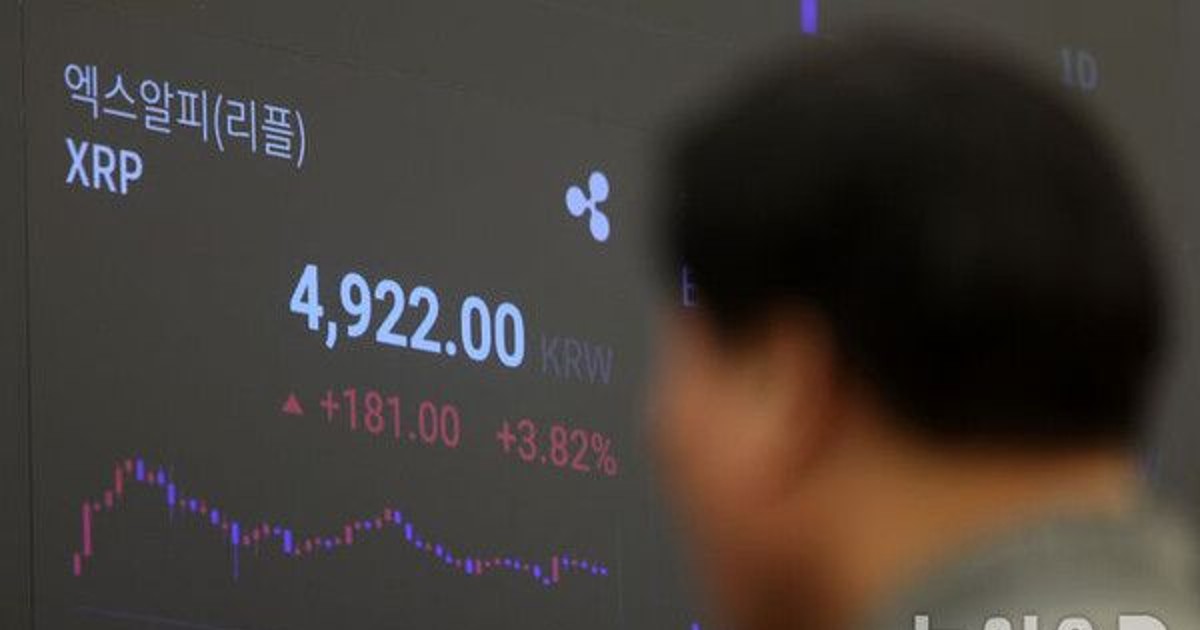 "비트코인 보다 리…