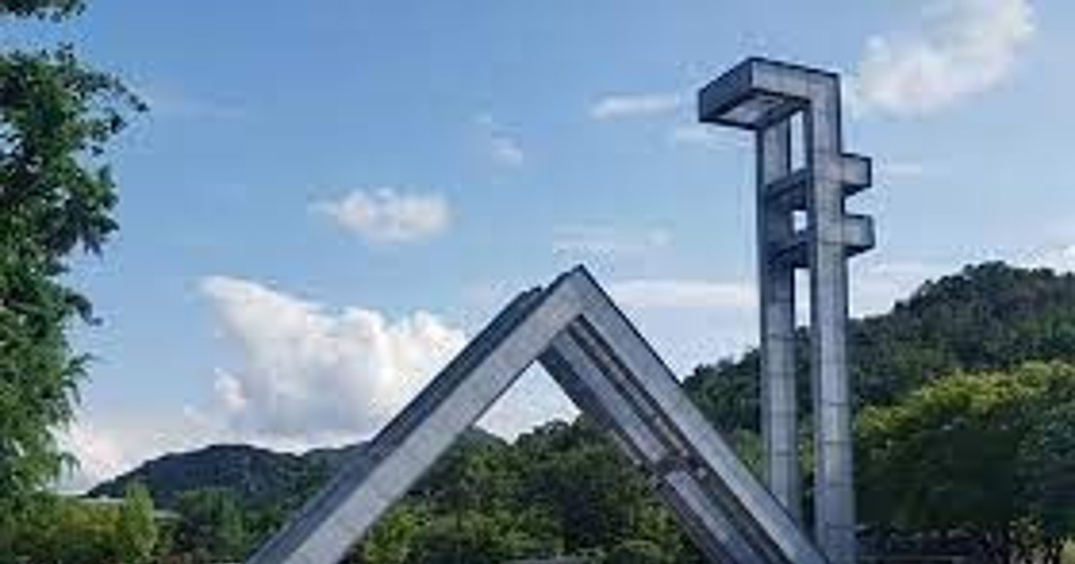 서울대 사이즈를 알…