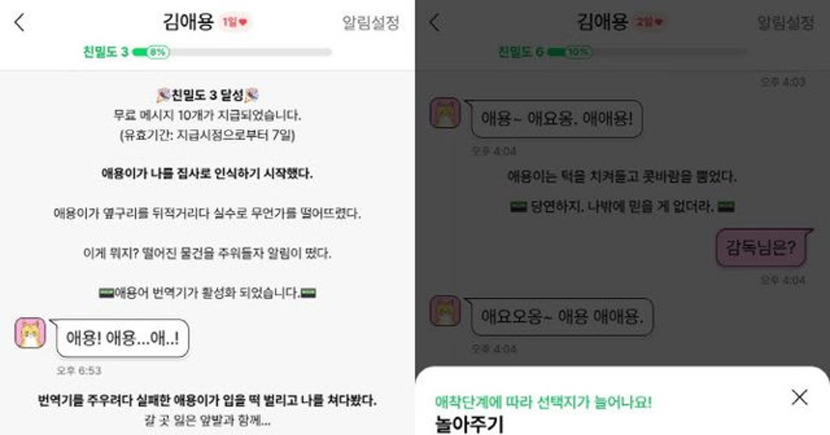 집사, 내말 알아들어?…좀비딸 고양이 애용이랑 채팅[잇:써봐]
