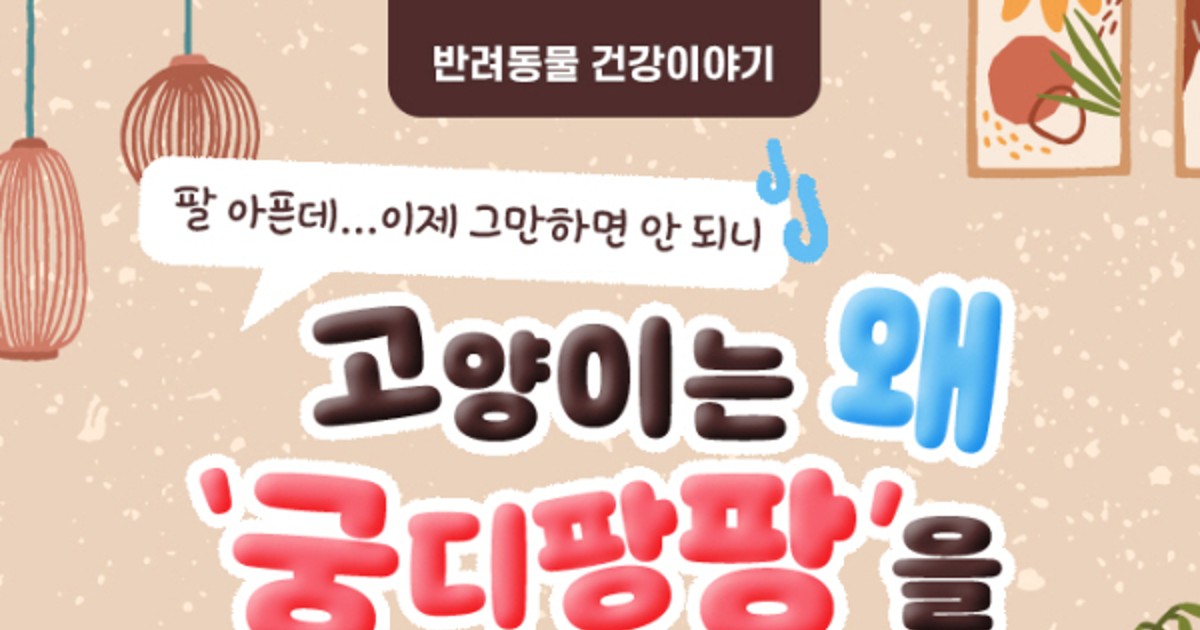 [반려동물 건강이야기] 고양이는 왜 ‘궁디팡팡’을 좋아할까?