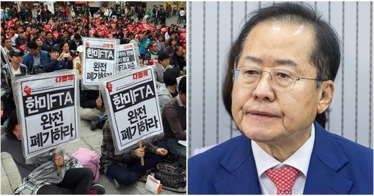 홍준표 “관세 0% 한미 FTA 반대