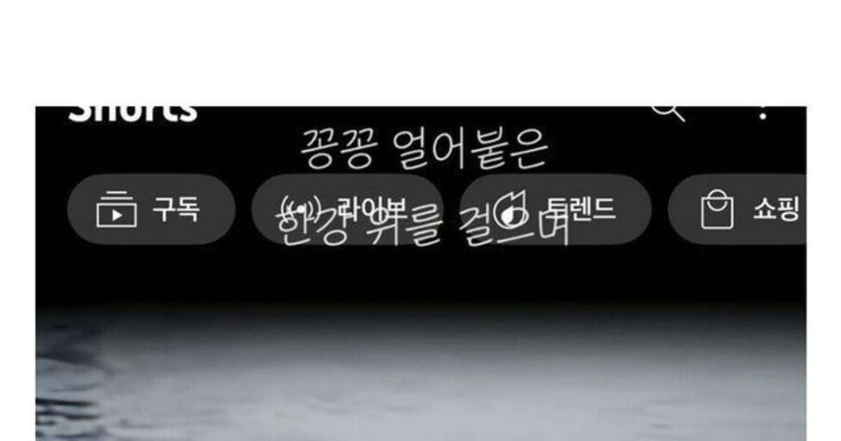 꽁꽁 얼어붙은 한강위를 걷던 고양이 근황
