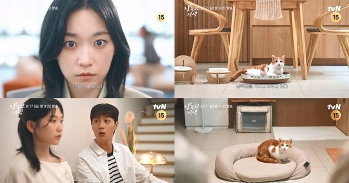 ‘고양이는 양보 못해’ 윤두준-김슬기, 5년 차 부부 활활 (냥육권 전쟁)