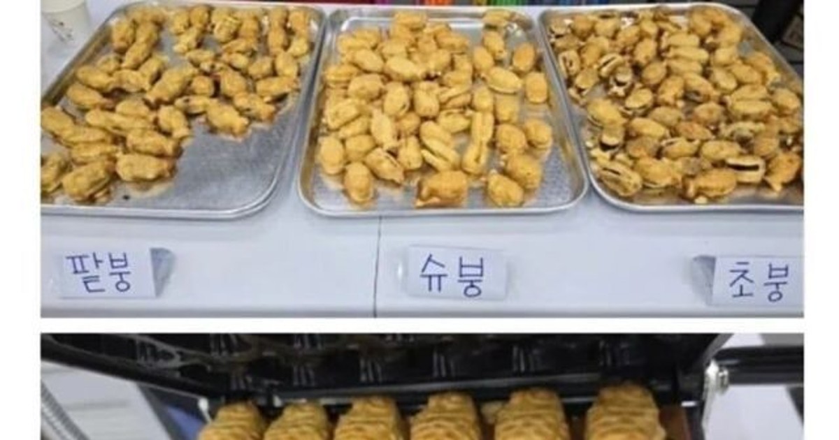 요즘 태권도장 근황…