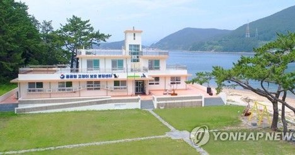 공간분리않고 40∼…