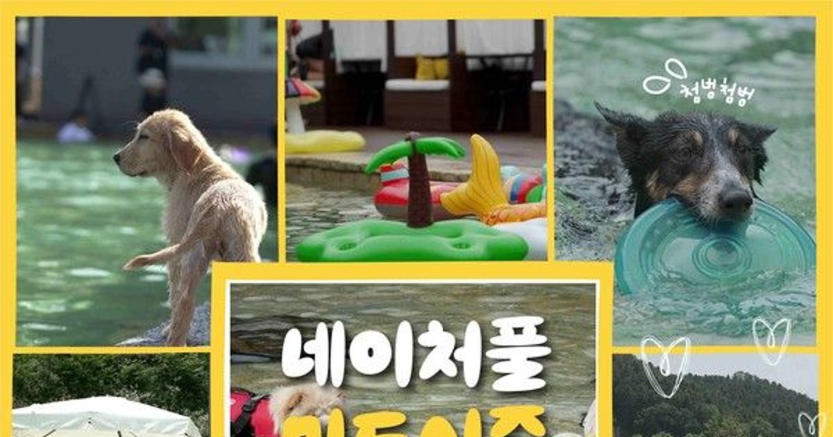 "반려견과 시원하게…