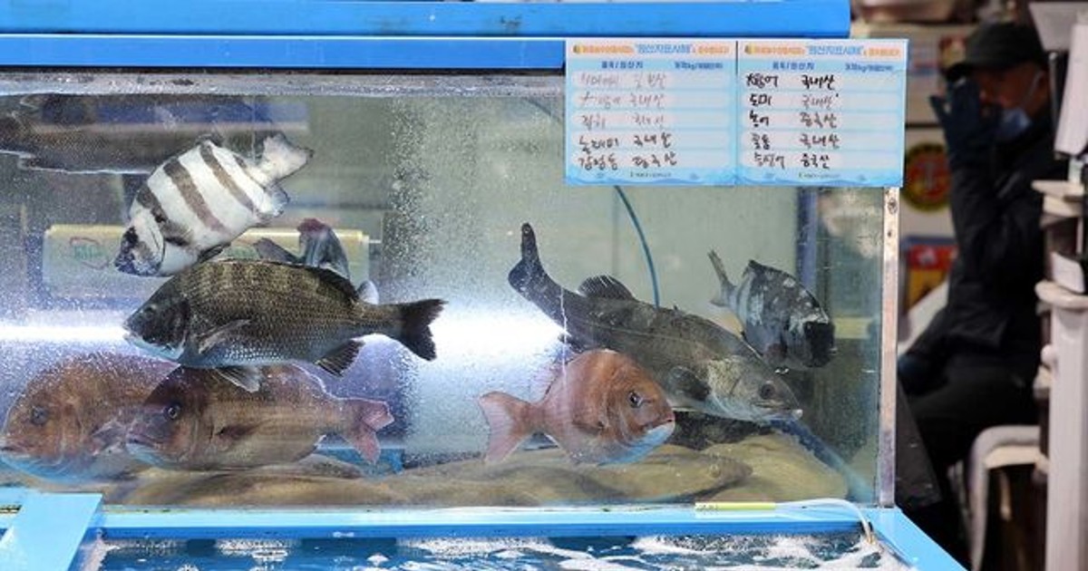 제사상에도 올렸는데…