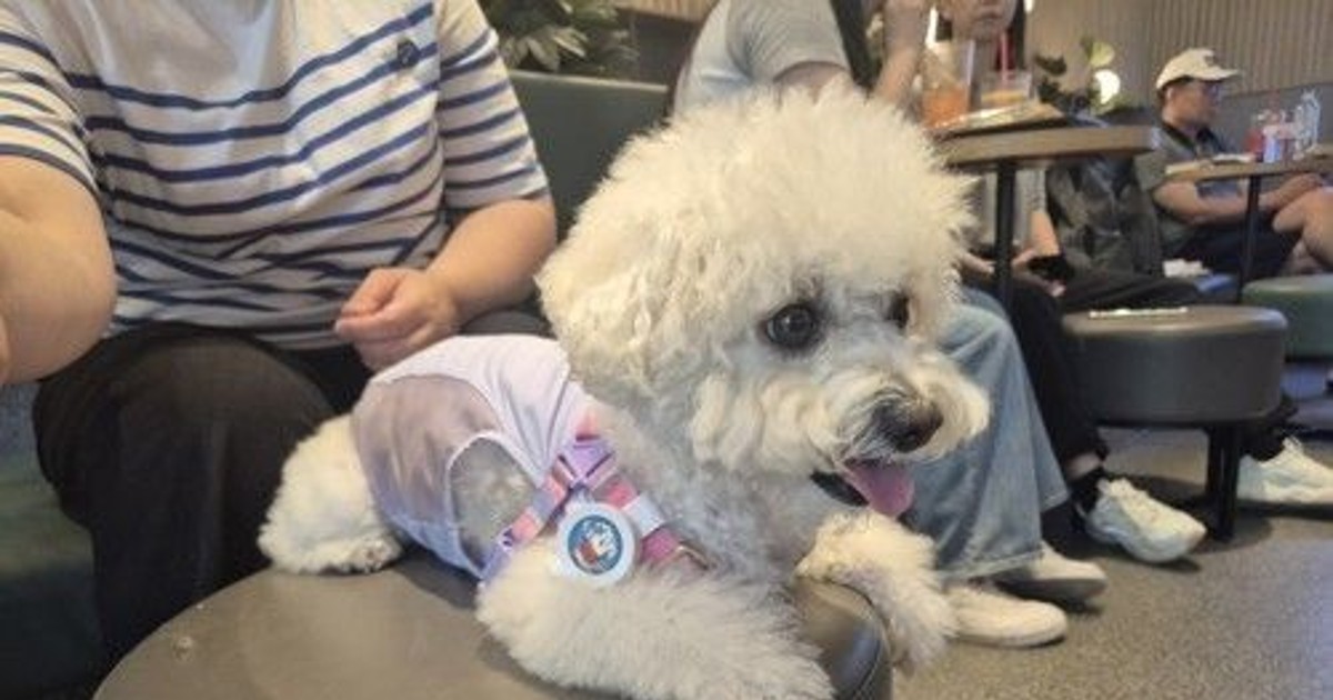 늘어나는 반려동물 …