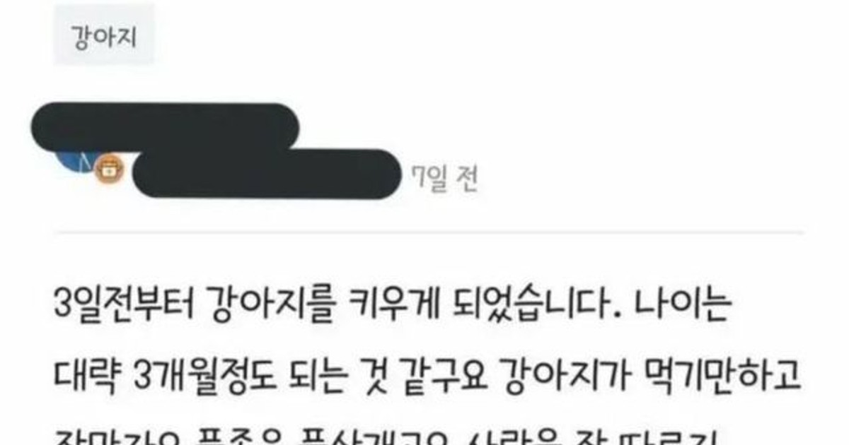 댕댕이가  잡니다.…