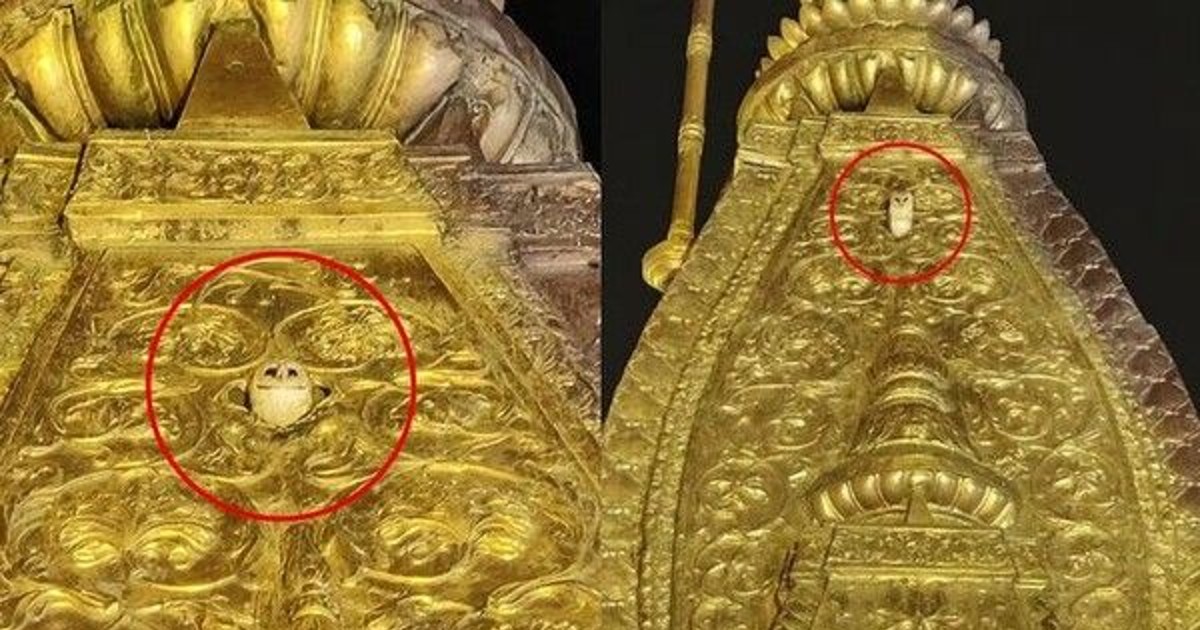 印 신성 사원 위에 흰 부엉이 출연…여신의 축북 신도 환호