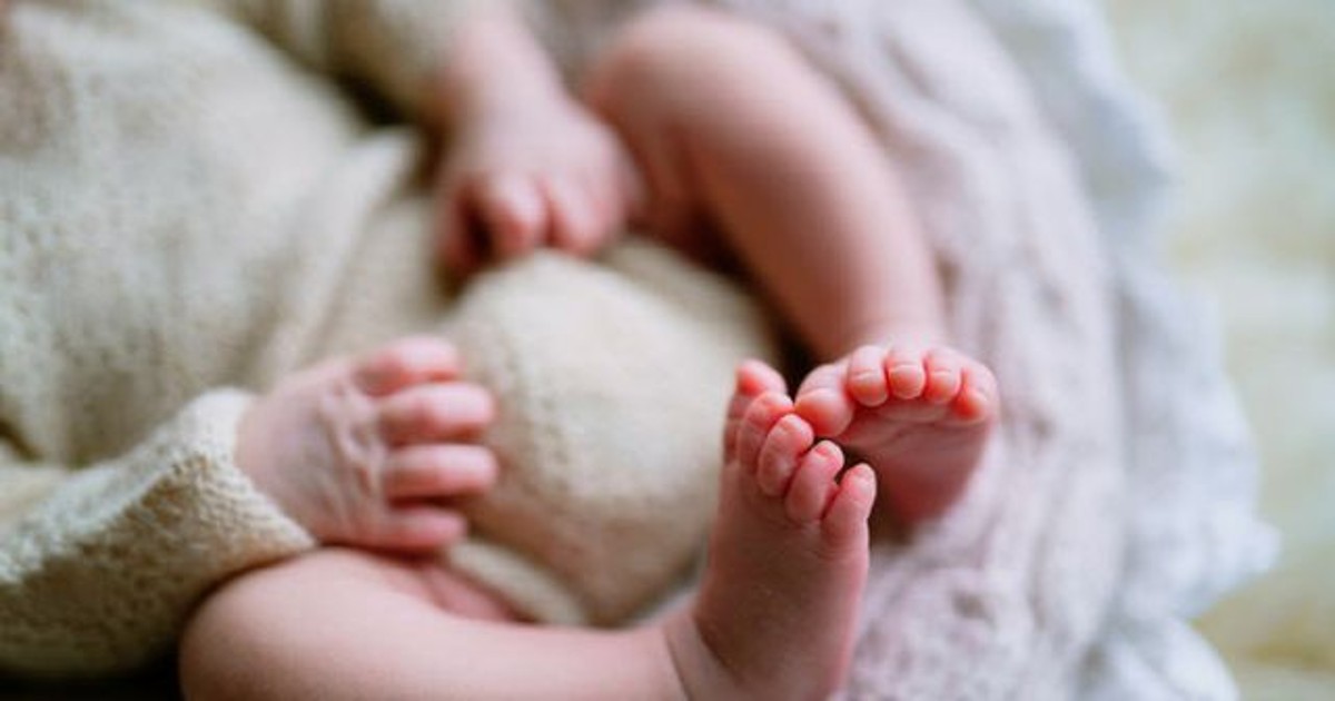어렵게 시험관 시술로 얻은 쌍둥이 살